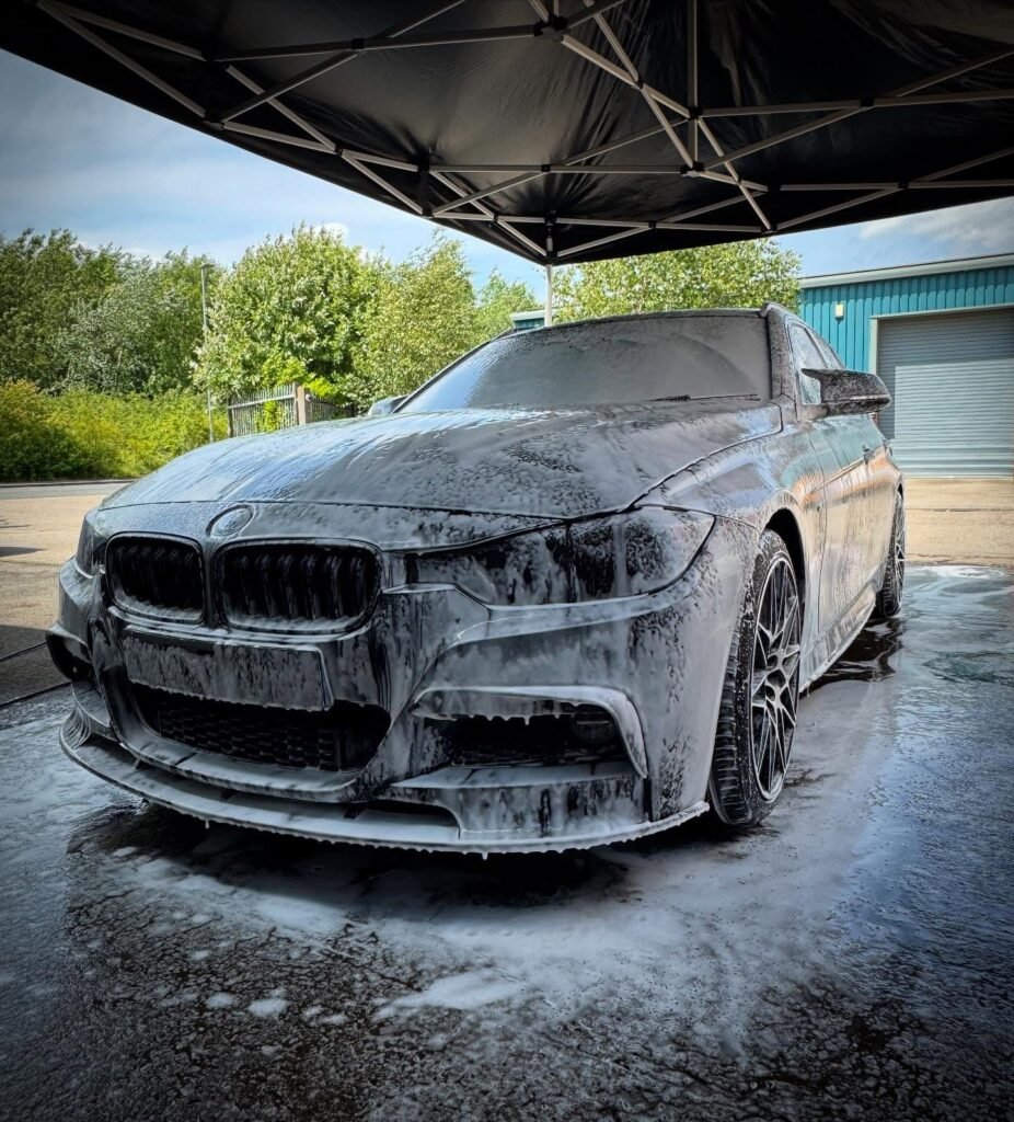 The-Shining-Monkeys-1