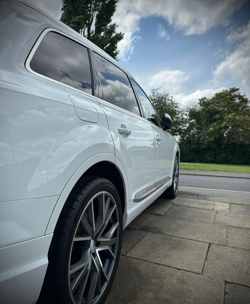 The-Shining-Monkeys-2