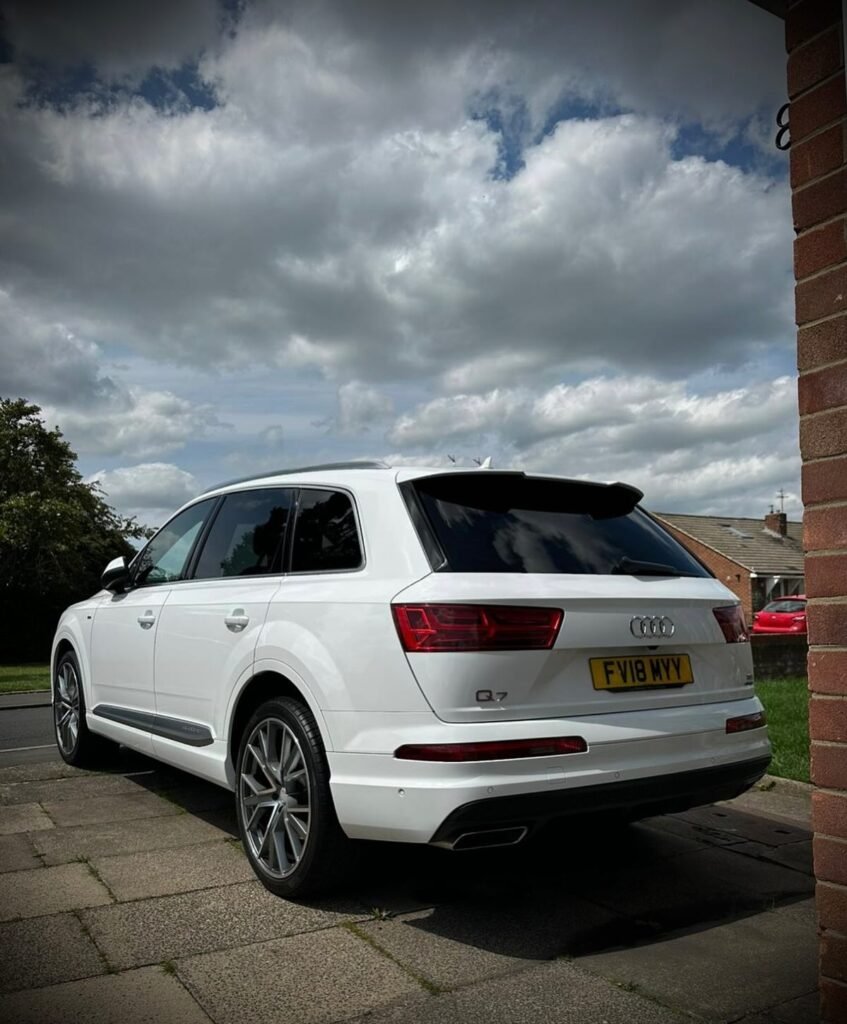 The-Shining-Monkeys-3