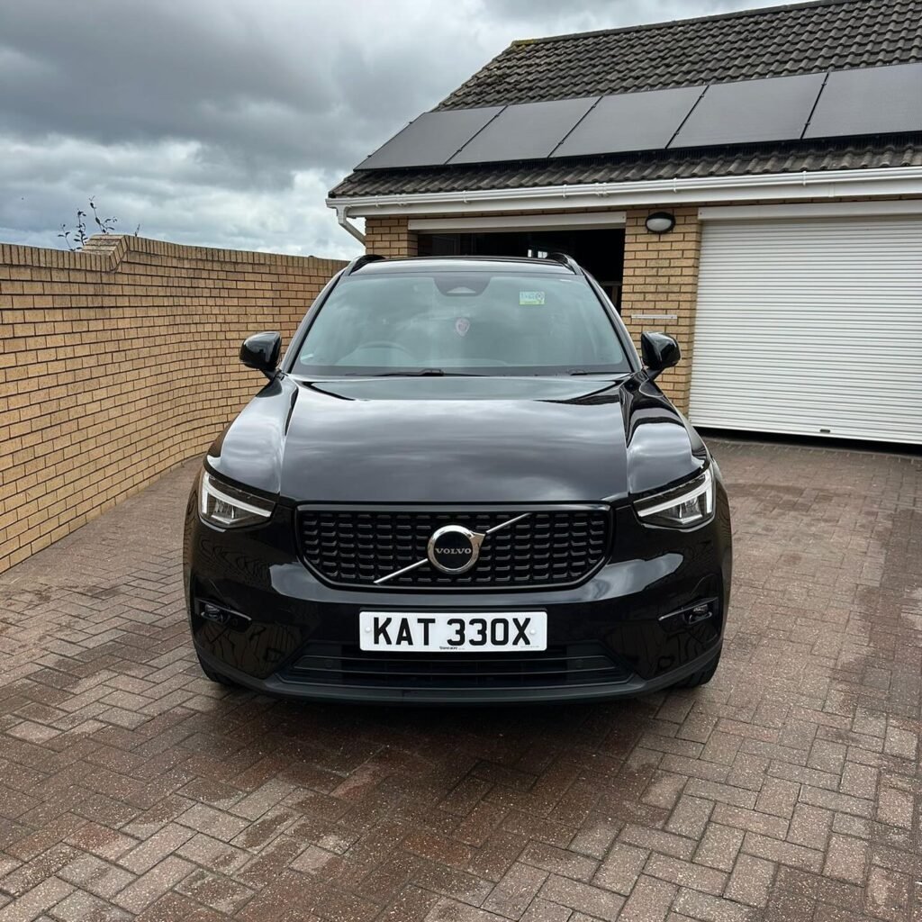 The-Shining-Monkeys-6